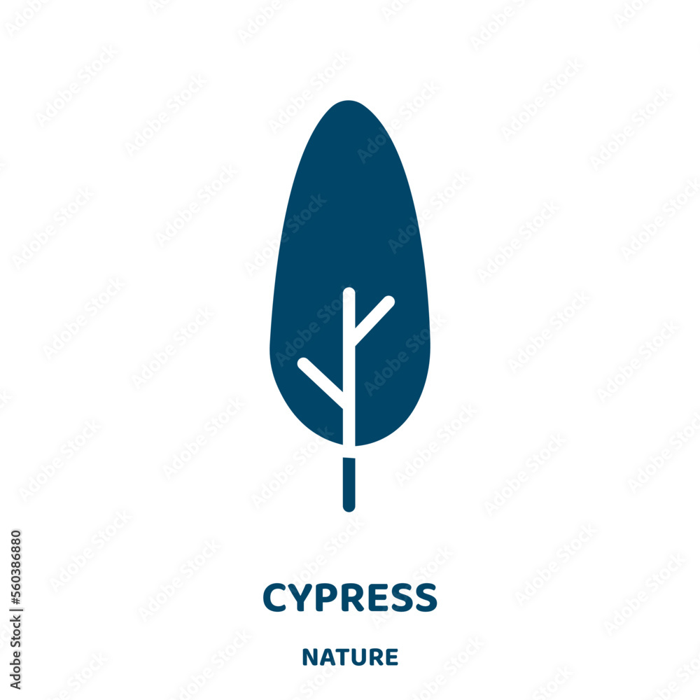 Poster cypress vector icon from nature collection. tree filled flat symbol for mobile concept and web desig