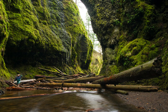 A hiker enters Oneonta Gorge, a tight mossy slit cut into the bedrock, in Oregon's waterfall-ridden Columbia Gorge.