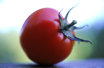 Close-up of a tomato
