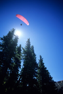 A paraglider pilot soars over the treetops near Salt Lake City, Utah.