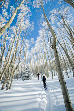 Backcountry skiing in the Sangre deCristo Mountains near Santa Fe, New Mexico.