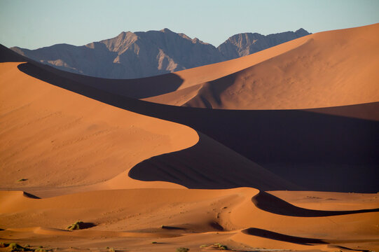 Winding dune ridge of the Namib Desert, Namibia.