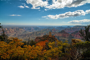 Fototapeta na wymiar Grand Canyon National Park,North Rim