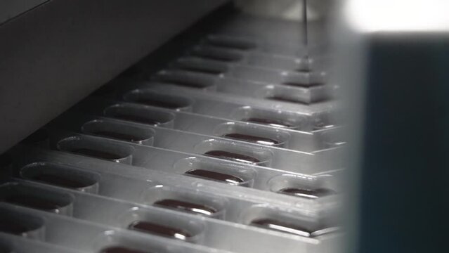 Relleno de envases de pl&aacute;stico con c&aacute;psulas medicinales negras en m&aacute;quina industrial para empresa farmac&eacute;utica.