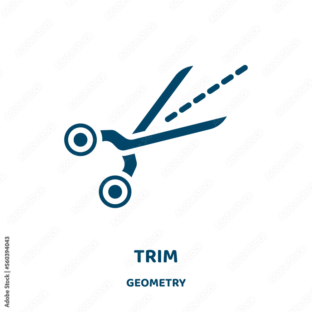 Poster trim vector icon from geometry collection. simple filled flat symbol for mobile concept and web desi