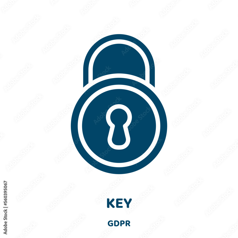 Poster key vector icon from gdpr collection. safety filled flat symbol for mobile concept and web design. b