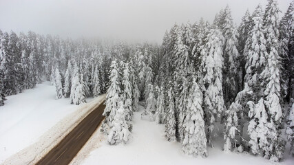 Golcuk - Bolu - Turkey, winter snow during snowfall. Travel concept drone photo.