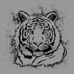 Grunge tiger head. Black and white drawing