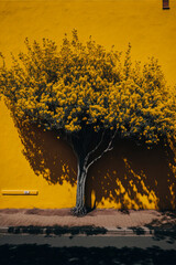 a tree with yellow flowers in front of a red wall