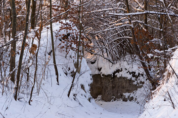 Wąwóz w białych skałach wśród gęstych lasów po obfitych opadach śniegu . Biała droga .