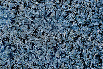 Snow patterns on glass. Nature draws. Ice drawings.