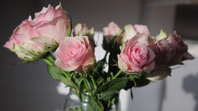 pink flowers in a glass vase in the sun.
Roses in the interior of the apartment
