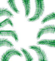Fototapeta na wymiar Palm branches pattern for design. Plant pattern design. Vector background illustration of palm leaf EPS10 