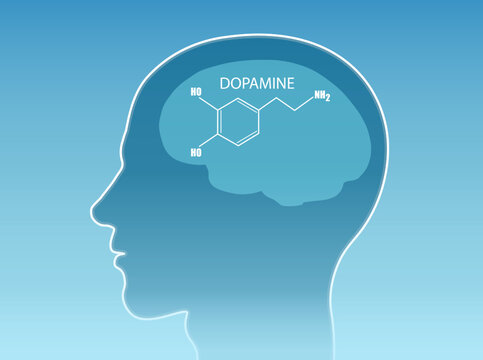 Vector of a chemical formula of the hormone dopamine inside human head