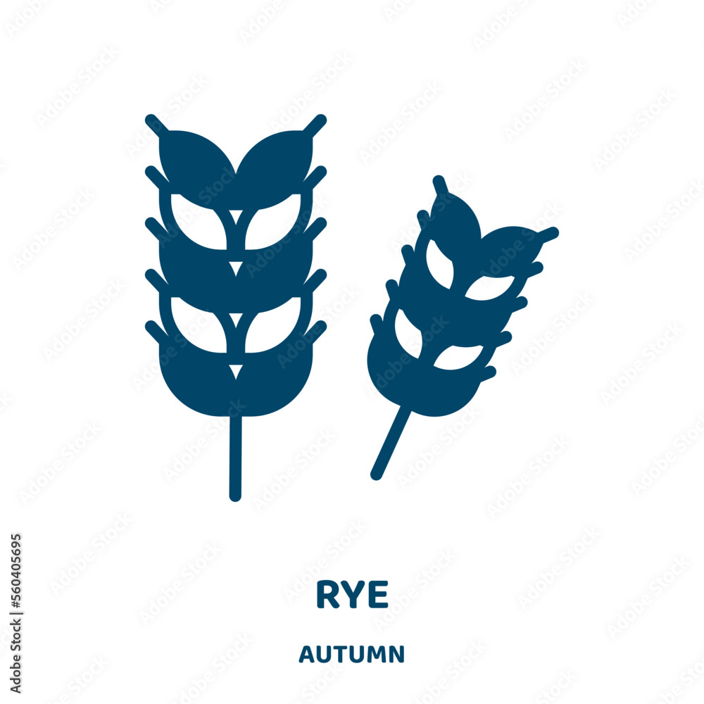 Poster rye vector icon from autumn collection. bakery filled flat symbol for mobile concept and web design.