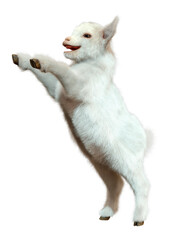 Naklejka premium 3D Rendering Baby Goat on White