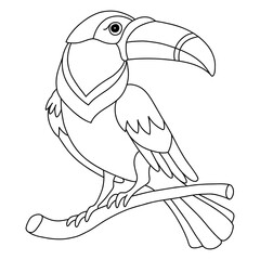 Toucan exotic bird coloring template vector illustration