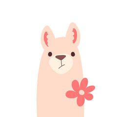 Vector illustration of a cartoon style serious llama face with flower