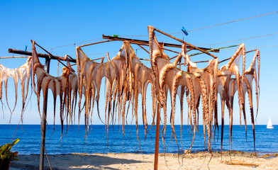 traditional drying octopus at Denia seashore