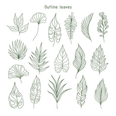 Set of outline leaves. Tropical plants. Herbarium. Perfect for herbal products designs.