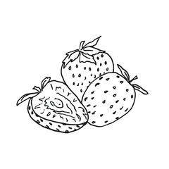 Strawberries, linear black and white vector illustration.
