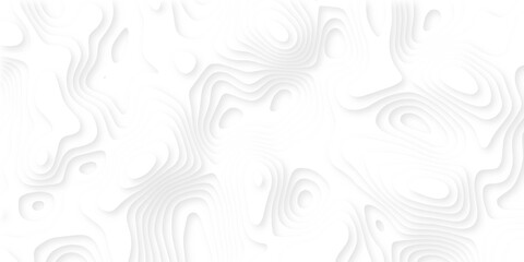Abstract 3d wavy line paper cut white background.realistic papercut decoration textured with wavy layers.3d Topographic canyon geometric map relief texture with curved layers and shadow.