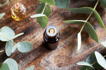 Obraz na płótnie Canvas A bottle of essential oil with fresh eucalyptus twigs