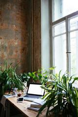 Enjoying working from an atmospheric home office full of green plants.