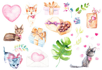 Valentine's day clip art. Cute funny watercolor illustration for Valentine and love with cats, hearts, gift boxes, letter and chocolates. Design for postcard, greeting card, congratulations, poster.