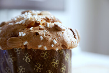 Traditional italian Panettone, typical Christmas cake, close up view, detail.