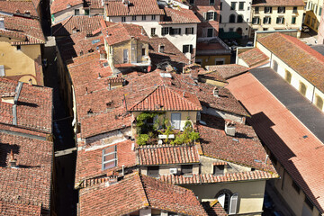 Lukka ogród na dachu stary pejzaż miejski na dachu Toskania Włochy