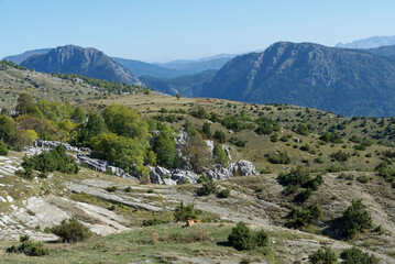 Fototapeta na wymiar Griechenland - Zagori - Tsepelovo - Pindosgebirge