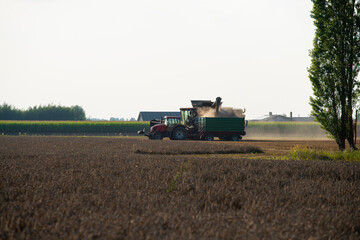 Obraz premium grain harvester, wheat harvest, wheat harvester at work, harvester in the field, harvester working at harvest time