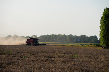 Obraz premium grain harvester, wheat harvest, wheat harvester at work, harvester in the field, harvester working at harvest time