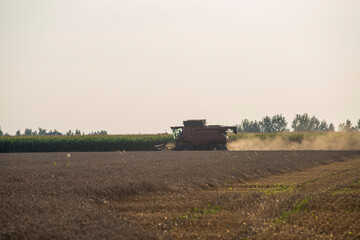 grain harvester, wheat harvest, wheat harvester at work, harvester in the field, harvester working...
