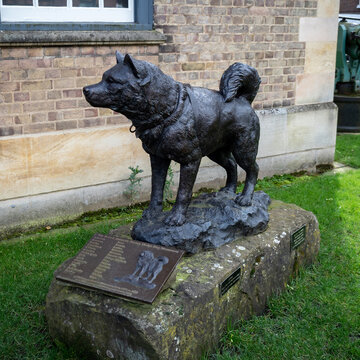 CAMBRIDGE, UK - MARCH 11. 2020:  The Sledge Dog Memorial (sculptor David Cemmick) At The Polar Museum  At The Scott Polar Research Institute  