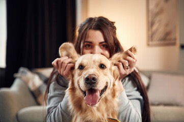 Playing with ears, front view, portrait. Woman is with golden retriever dog at home