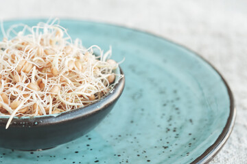 Sprouted wheat grains in a ceramic bowl on a blue plate. Selective focus.
