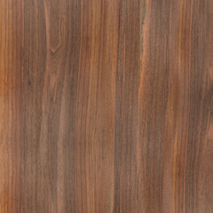 The surface of the old brown wooden texture. Old grunge dark textured wood background.