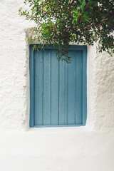 Closed blue wooden window shutter on a white facade with green plant in the foreground