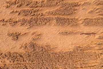 Aerial view of a grain field that was damaged by wind breakage and rain