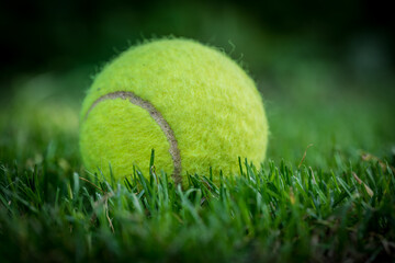 tennis ball on mowed grass