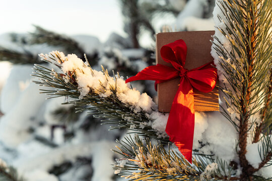 Close-up of a gift box on a snow-covered Christmas tree
