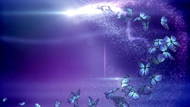 Animation of purple butterflies flying in front of mysterious background. Seamlessly loop able. Perfectly usable for a big variety of topics.