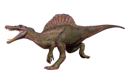 Spinosaurus roaring dinosaur isolated on blank background PNG