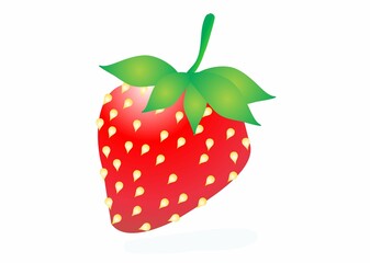 Strawberry red summer fruit, white background. Vector graphic illustration. Vegetarian cafe print, poster, card. Natural, organic dessert sweet, fresh berry look juicy but little sour 