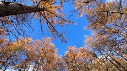 上見上げてみた