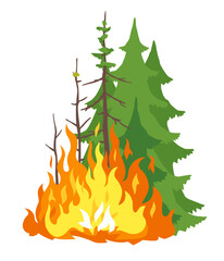 Burning forest spruces in fire flames, nature disaster concept illustration, poster danger, careful with fires in the woods, isolated