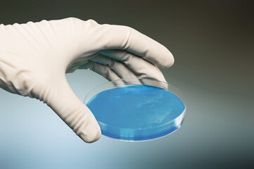 Sample culture microorganisms in Petri dish