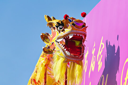 Head golden Chinese Dragon against blue sky during the celebration of Chinese New Year, low angle view
